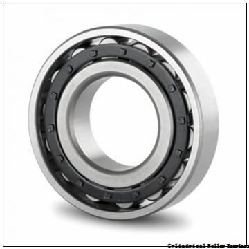 120 mm x 215 mm x 40 mm  ISO N224 cylindrical roller bearings