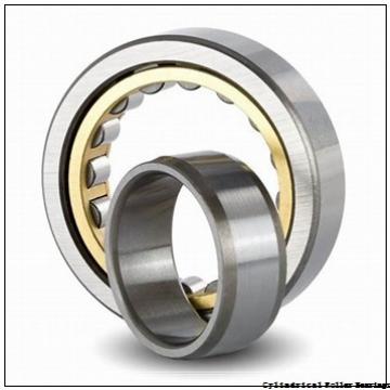 20 mm x 47 mm x 18 mm  NSK NU2204 ET cylindrical roller bearings
