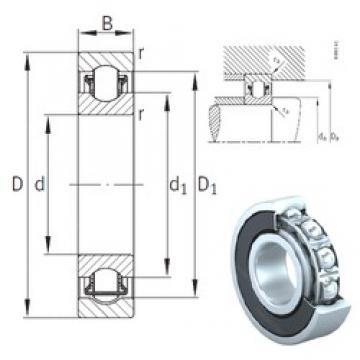 25 mm x 62 mm x 17 mm  INA BXRE305-2HRS needle roller bearings